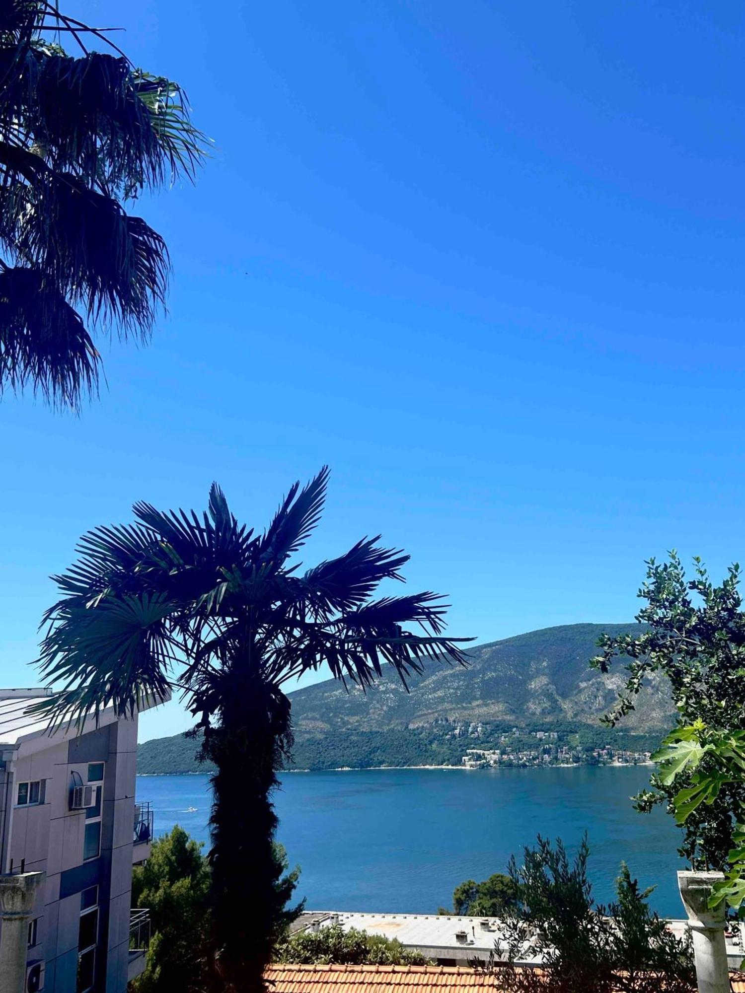 Apartments Maya Herceg Novi Eksteriør bilde
