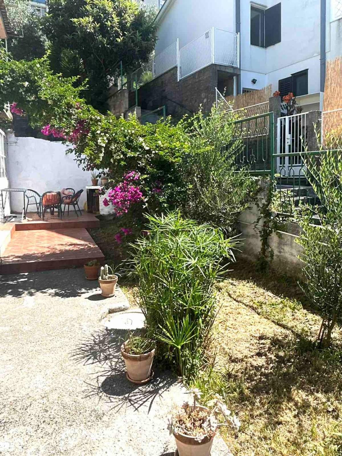 Apartments Maya Herceg Novi Eksteriør bilde